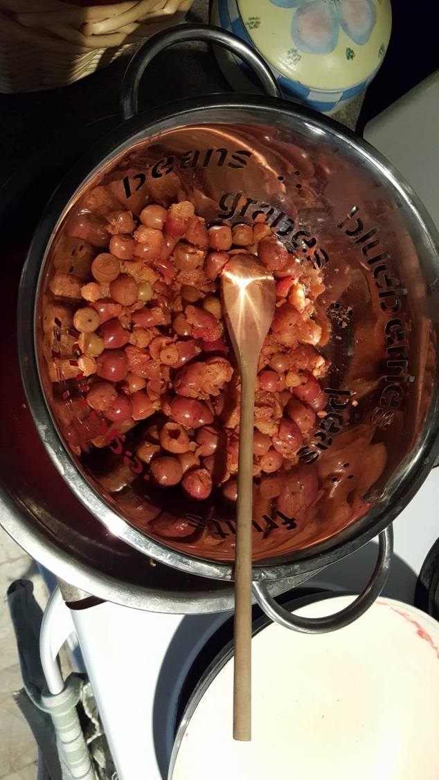 14614289_10211353401257739_881488405_o