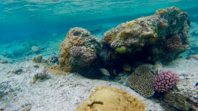 Capture d_écran 2017-03-29 à 08.53.31